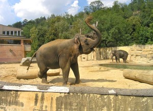 zoo_praga