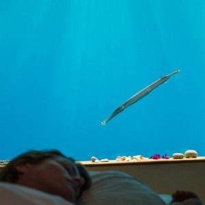 manta-resort-underwater-hotel-room-010